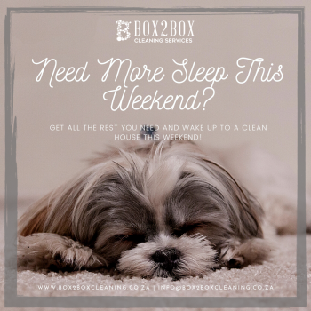 house-cleaning-services-roodepoort