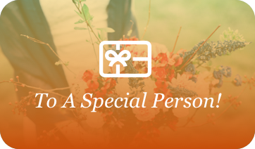 Box 2 Box Cleaning Services -Gift A Clean -Special-Person